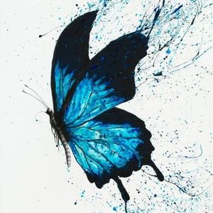 Meet your Posher, Lynn